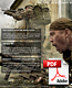 ARMA2-Features.png